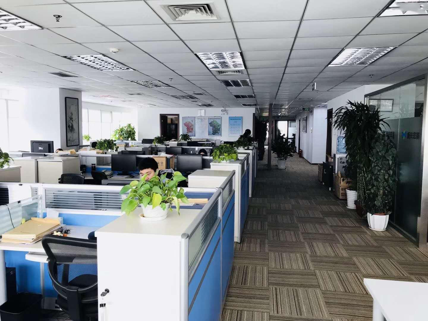金泰国益大厦大图1